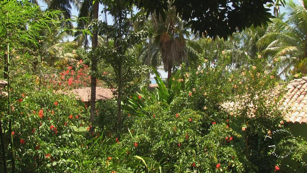 Pousada Tassimirim Velha Boipeba Exterior photo